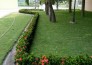 Dịch vụ cắt cỏ, chăm sóc cảnh quan sân vườn tại Tp.HCM